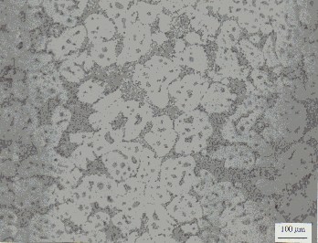Typical Microstructure